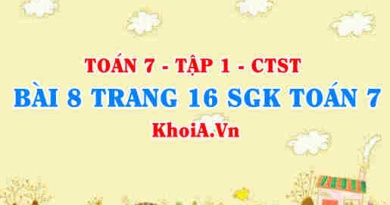 Bài 8 trang 16 SGK Toán 7 tập 1 Chân trời sáng tạo